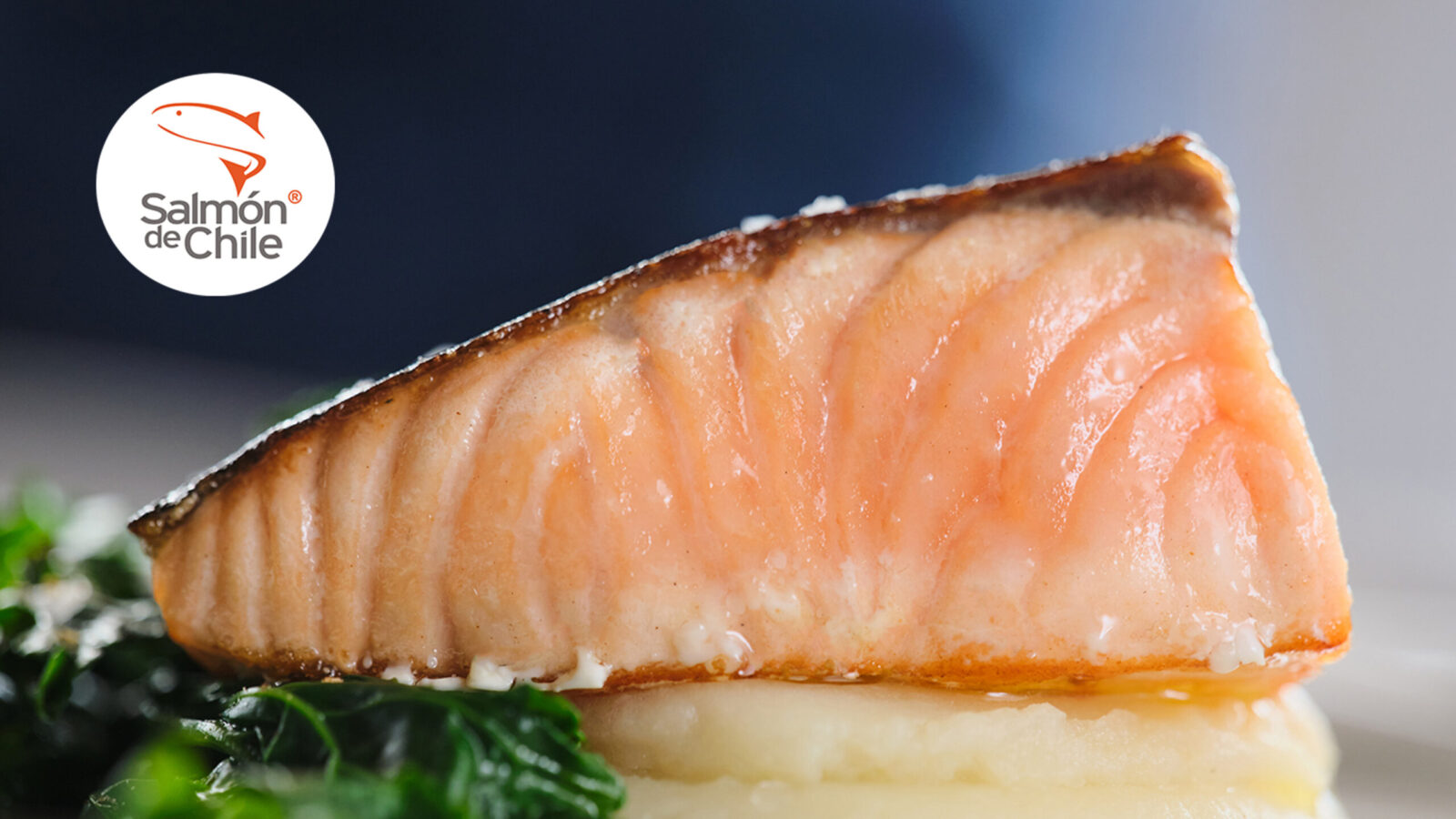 Pan Seared Chilean Salmon, Garlic Mashed Potato, Lemon Broccoli Rabe