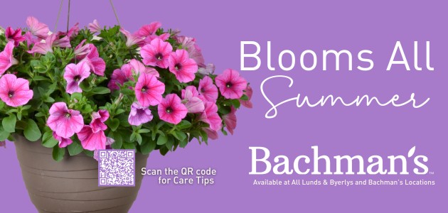 Bachman's: Blooms All Summer. Available at Lunds & Byerlys and all Bachman's locations.