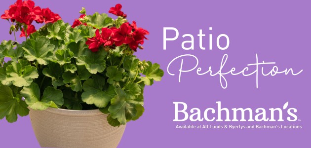 Bachman's: Patio Perfection. Available at Lunds & Byerlys and all Bachman's locations.