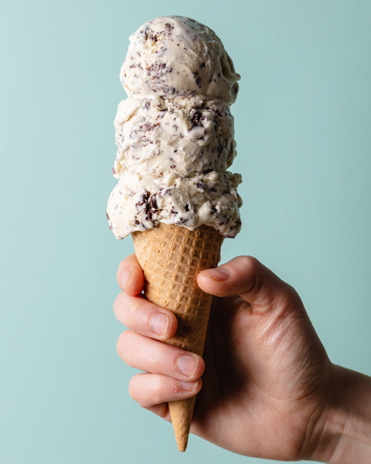 Recipe: Mint Chocolate Chip Ice Cream