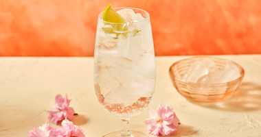 Absolut Vodka Soda