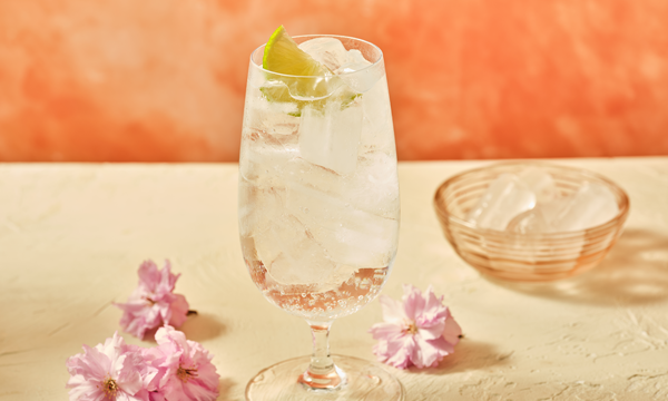 A glass filled with ice, absolut vodka, soda water and topped with lime
