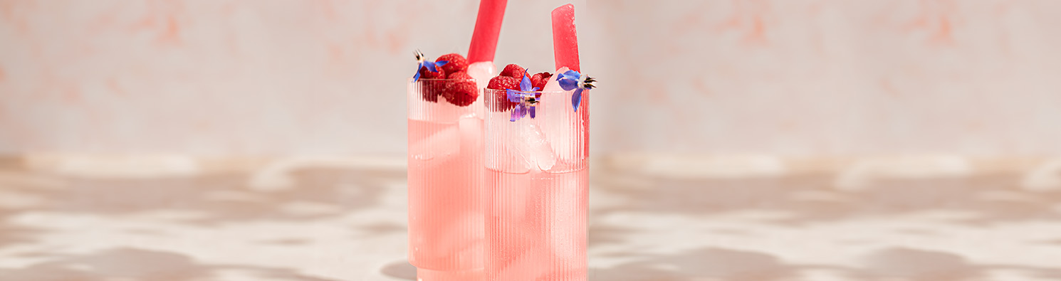 Jess's Raspberry Kombucha and Elderflower Shrub with Frozen Irish Raspberries