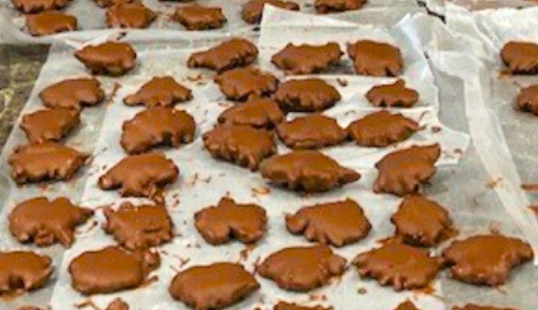 Chocolate Turtles from Shirley