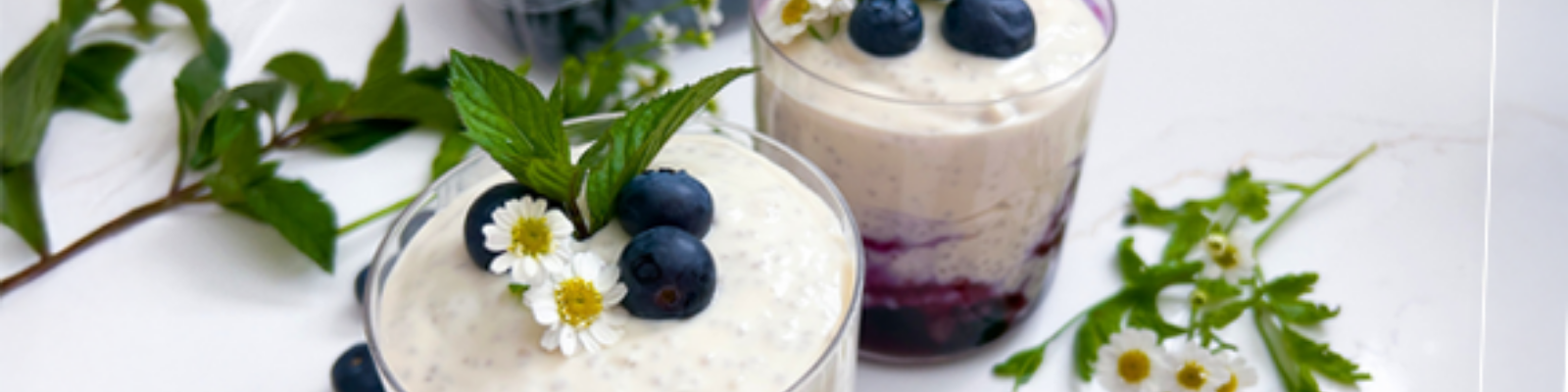 High Protein Blueberry Chia Pudding