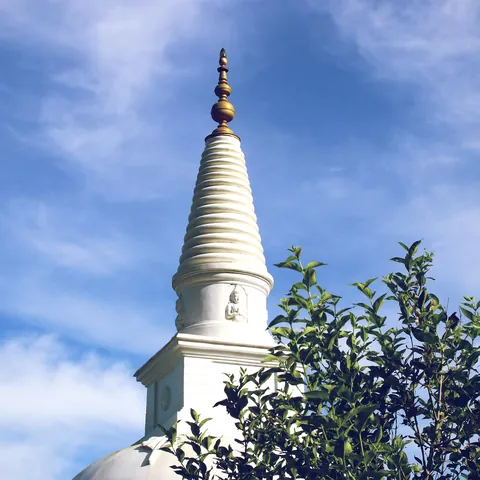 දම්සයුර ආරණ්‍යයේ චෛත්‍යය