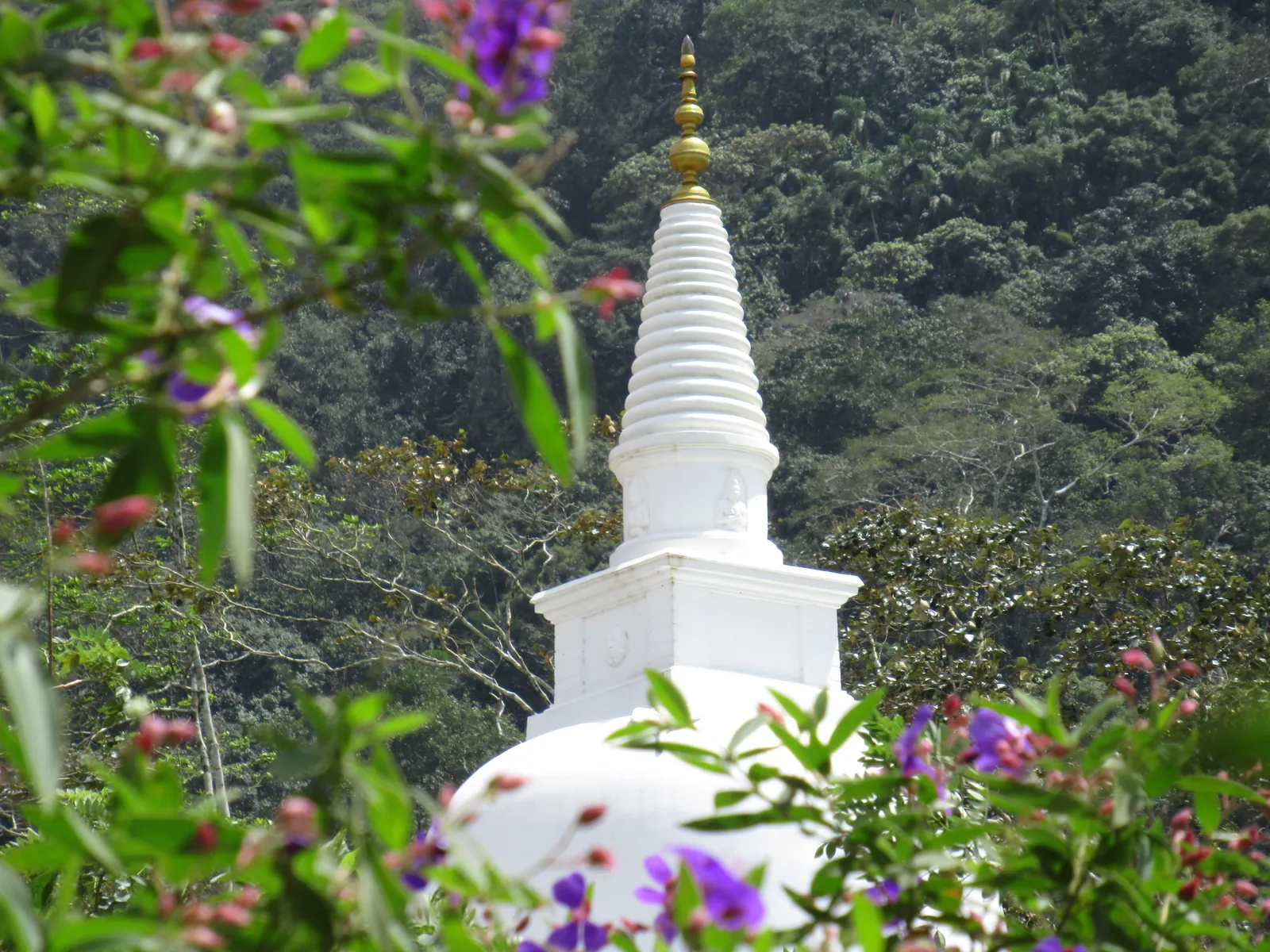 දම්සයුර ආරණ්‍යයේ චෛත්‍යය — ඡායාරූපය 18