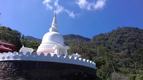 දම්සයුර ආරණ්‍යයේ චෛත්‍යය