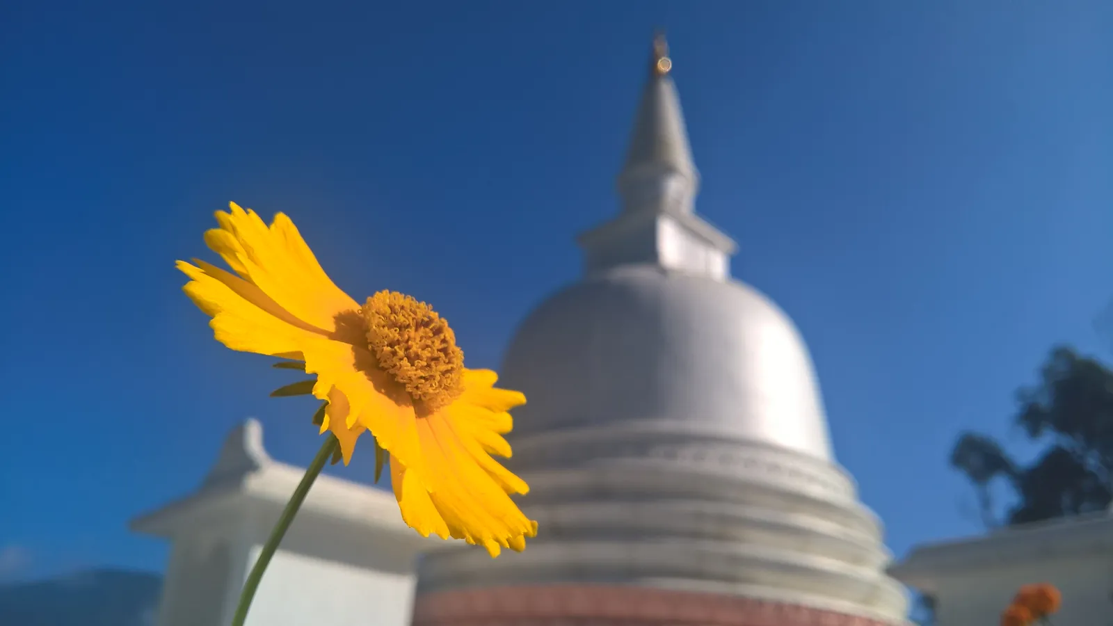 දම්සයුර ආරණ්‍යයේ චෛත්‍යය — ඡායාරූපය 22