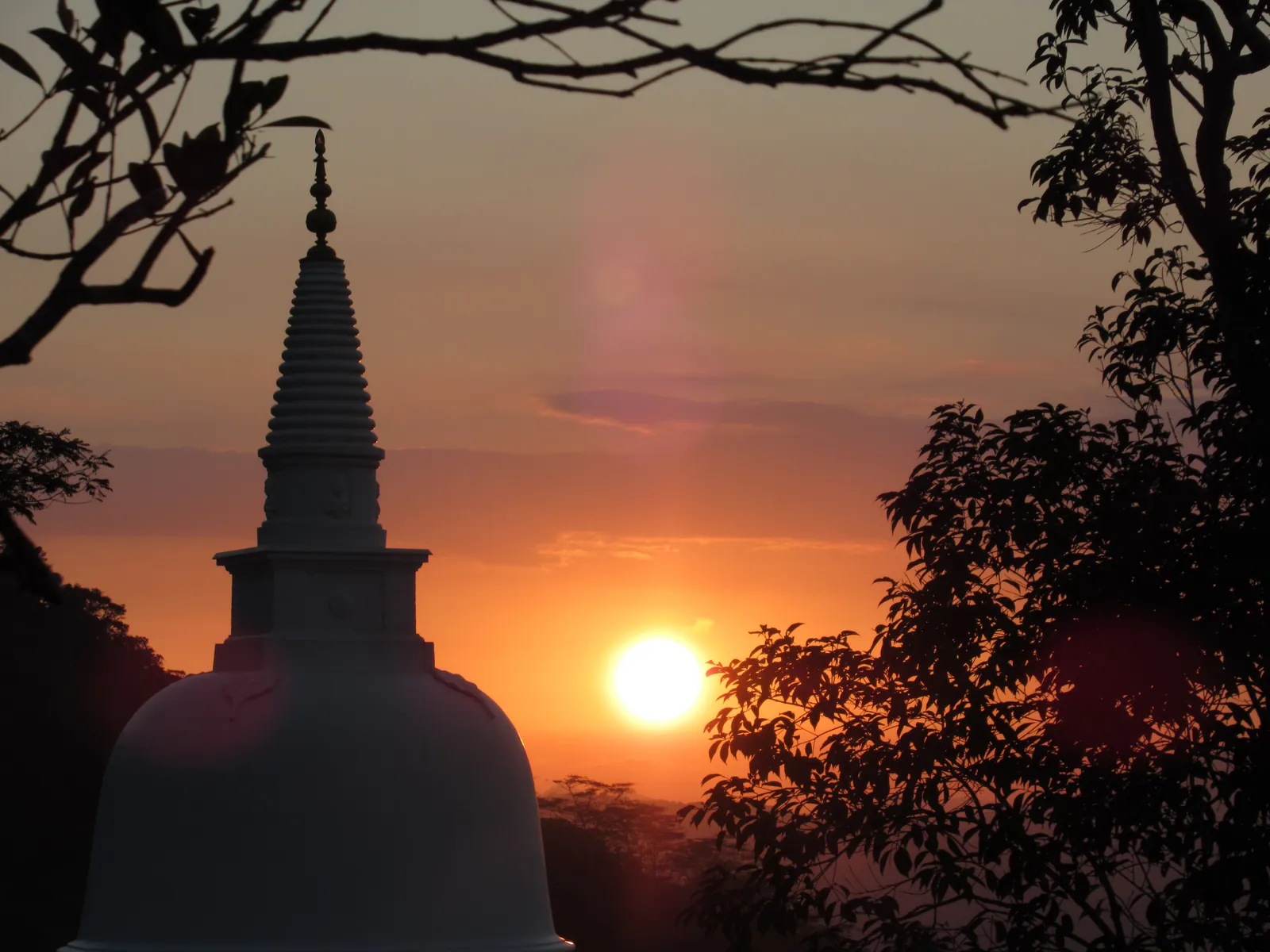 හිරු බැස යන සන්ධ්‍යාවේ ආරණ්‍ය භූමිය — ඡායාරූපය 1