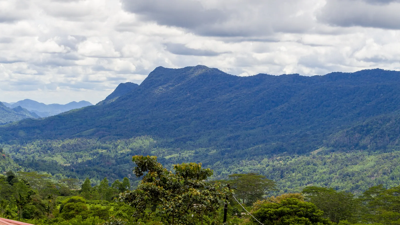 ආරණ්‍යය වටවූ කඳු පන්ති — ඡායාරූපය 1