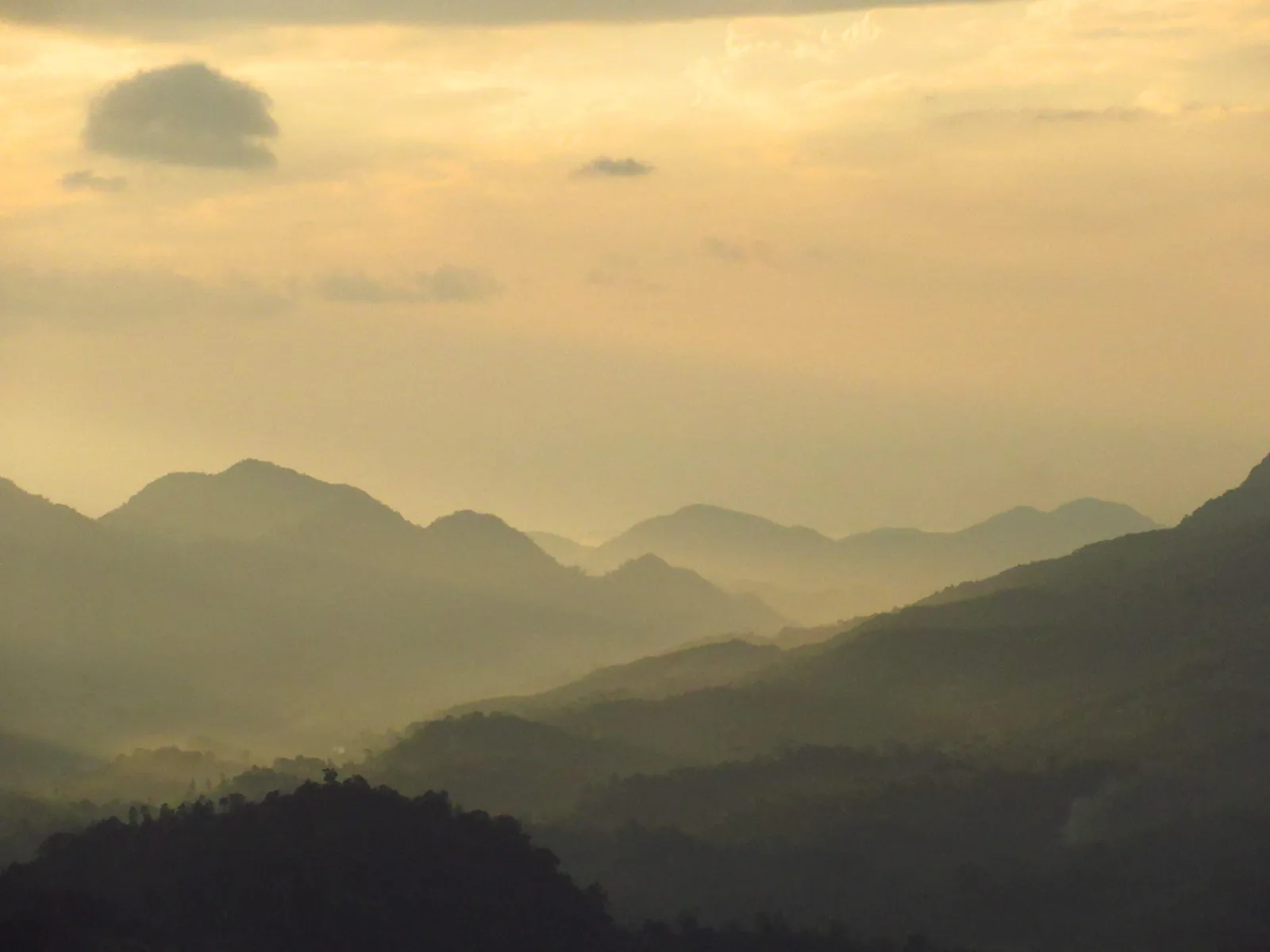 ආරණ්‍යය වටවූ කඳු පන්ති — ඡායාරූපය 10