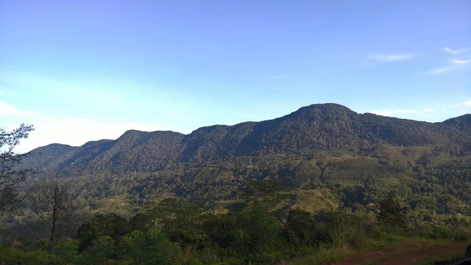 ආරණ්‍යය වටවූ කඳු පන්ති — ඡායාරූපය 12