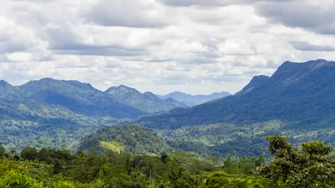 ආරණ්‍යය වටවූ කඳු පන්ති