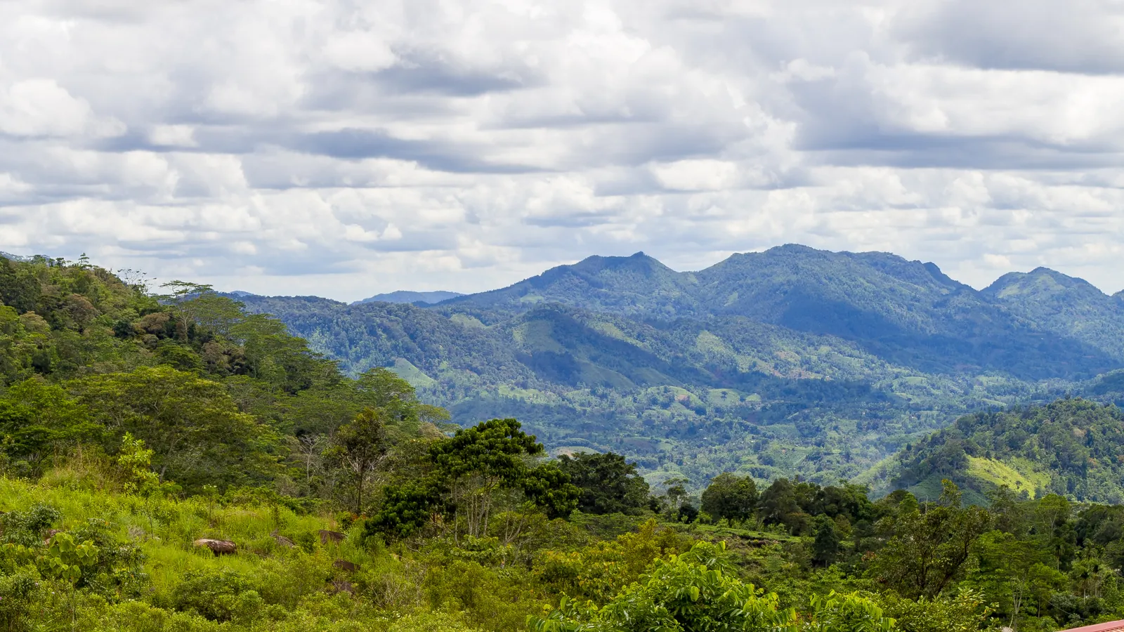 ආරණ්‍යය වටවූ කඳු පන්ති — ඡායාරූපය 3