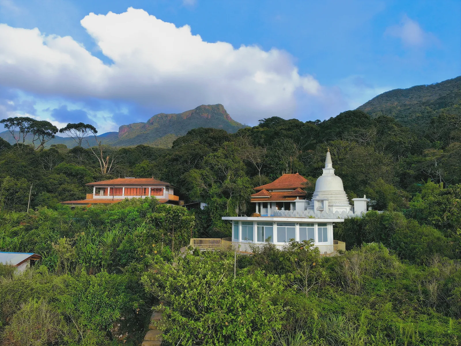 ආරණ්‍යය වටවූ කඳු පන්ති — ඡායාරූපය 4
