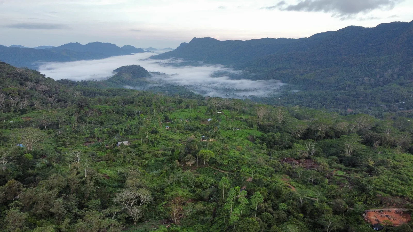 ආරණ්‍යය වටවූ කඳු පන්ති — ඡායාරූපය 6