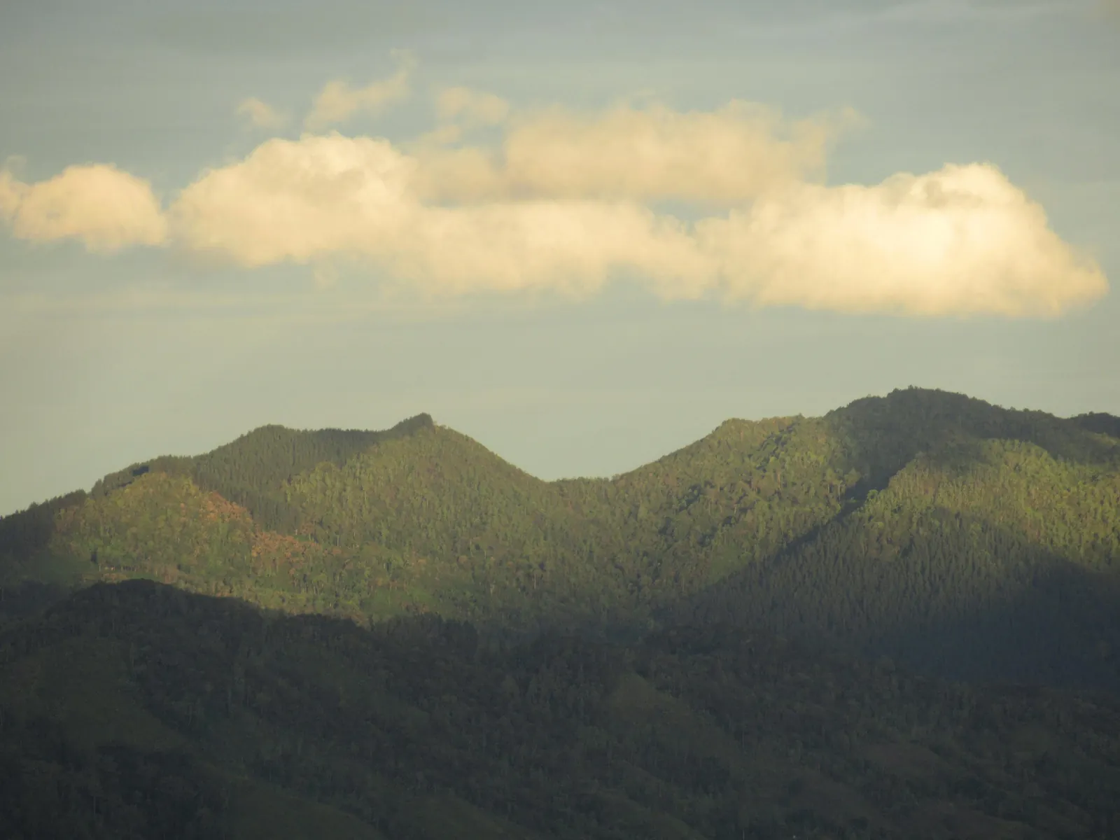 ආරණ්‍යය වටවූ කඳු පන්ති — ඡායාරූපය 9