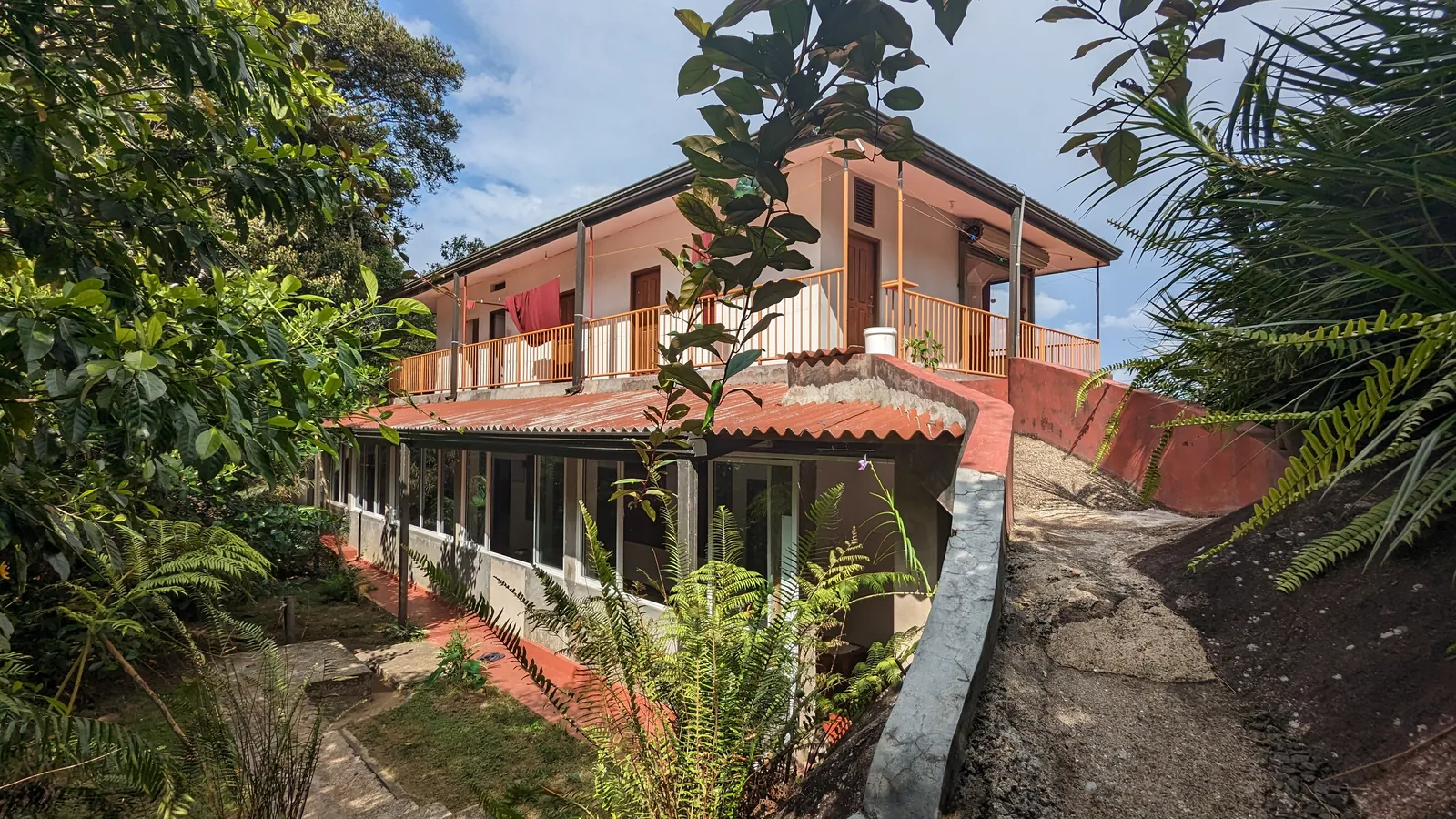 ආරණ්‍ය භූමියේ ඡායාරූප කිහිපයක් — ඡායාරූපය 1