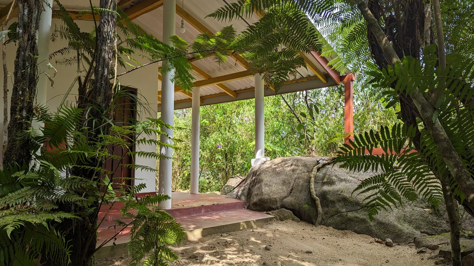 ආරණ්‍ය භූමියේ ඡායාරූප කිහිපයක් — ඡායාරූපය 11