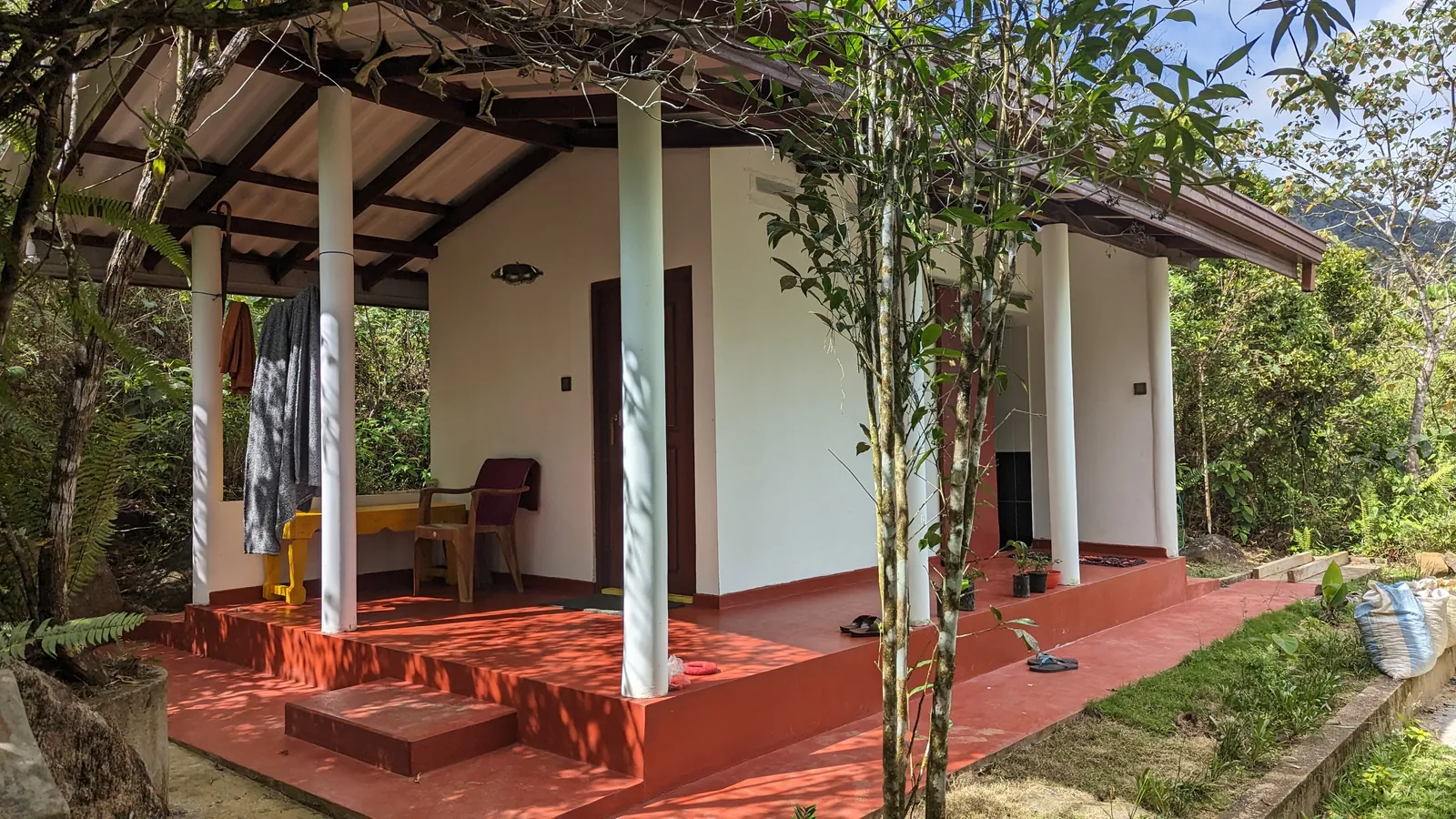 ආරණ්‍ය භූමියේ ඡායාරූප කිහිපයක් — ඡායාරූපය 12