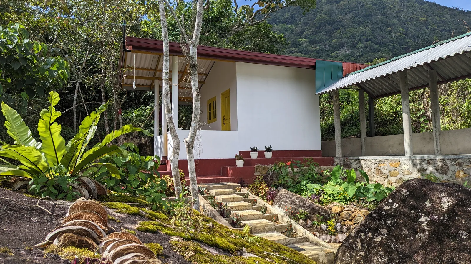 ආරණ්‍ය භූමියේ ඡායාරූප කිහිපයක් — ඡායාරූපය 13