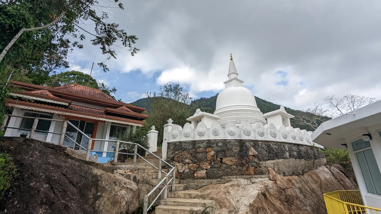ආරණ්‍ය භූමියේ ඡායාරූප කිහිපයක් — ඡායාරූපය 16