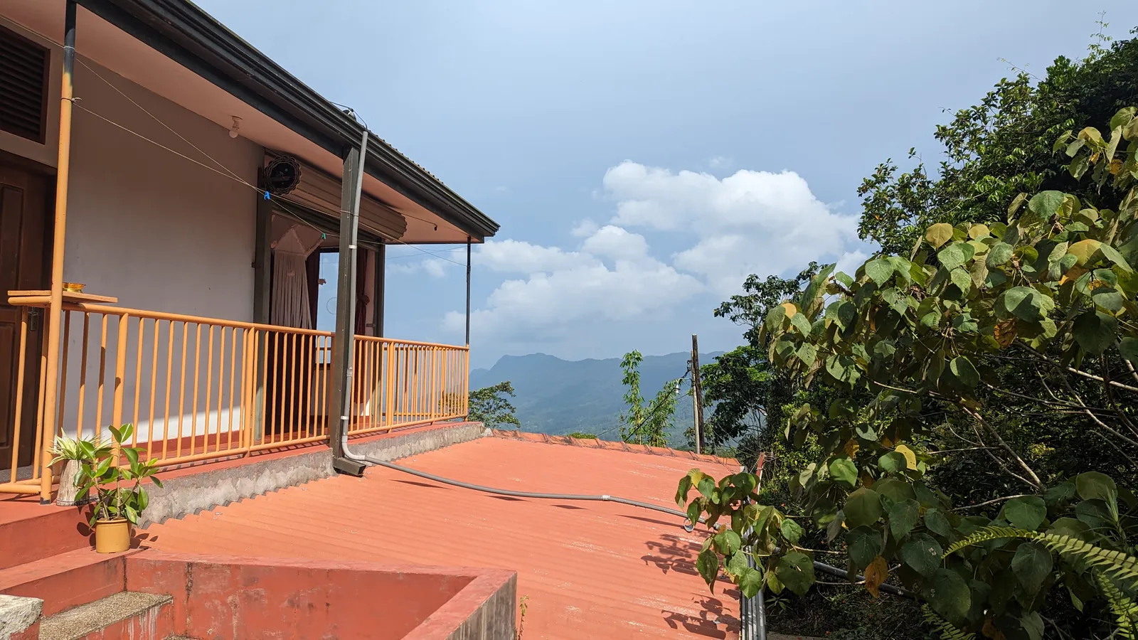 ආරණ්‍ය භූමියේ ඡායාරූප කිහිපයක් — ඡායාරූපය 2