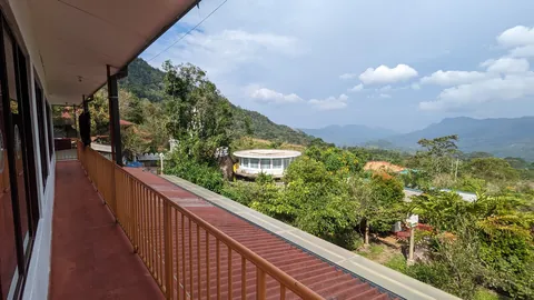 ආරණ්‍ය භූමියේ ඡායාරූප කිහිපයක්