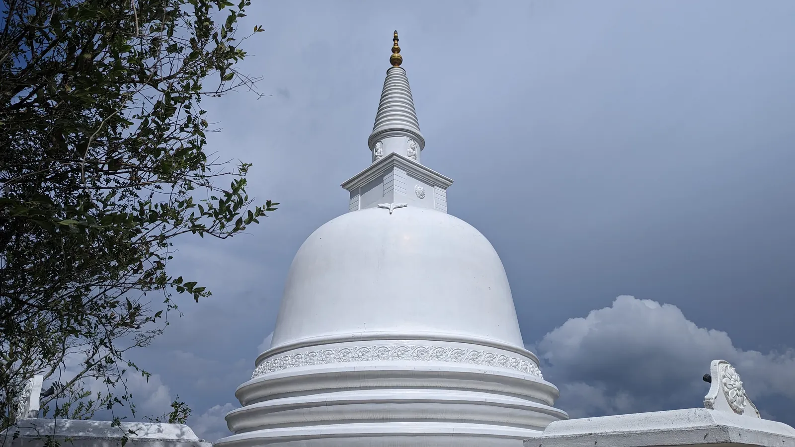 ආරණ්‍ය භූමියේ ඡායාරූප කිහිපයක් — ඡායාරූපය 6
