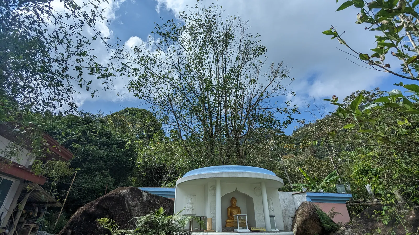 ආරණ්‍ය භූමියේ ඡායාරූප කිහිපයක් — ඡායාරූපය 9