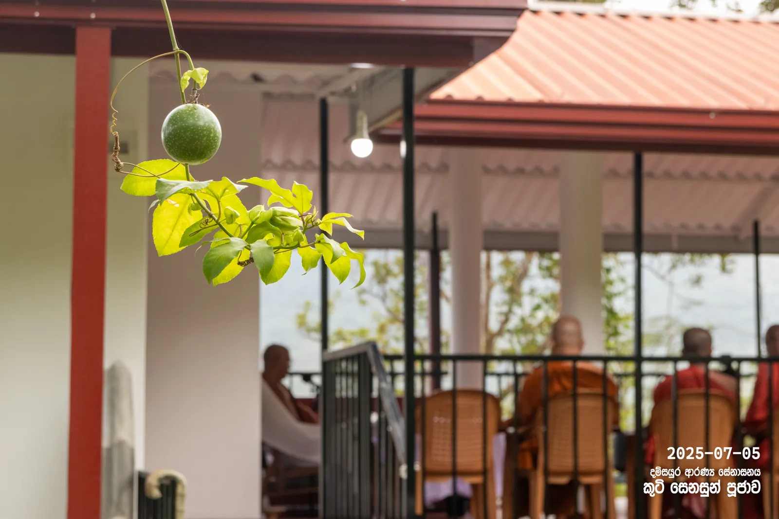 ආරණ්‍යයේ කුටි සෙනසුන් පූජාව — ඡායාරූපය 15