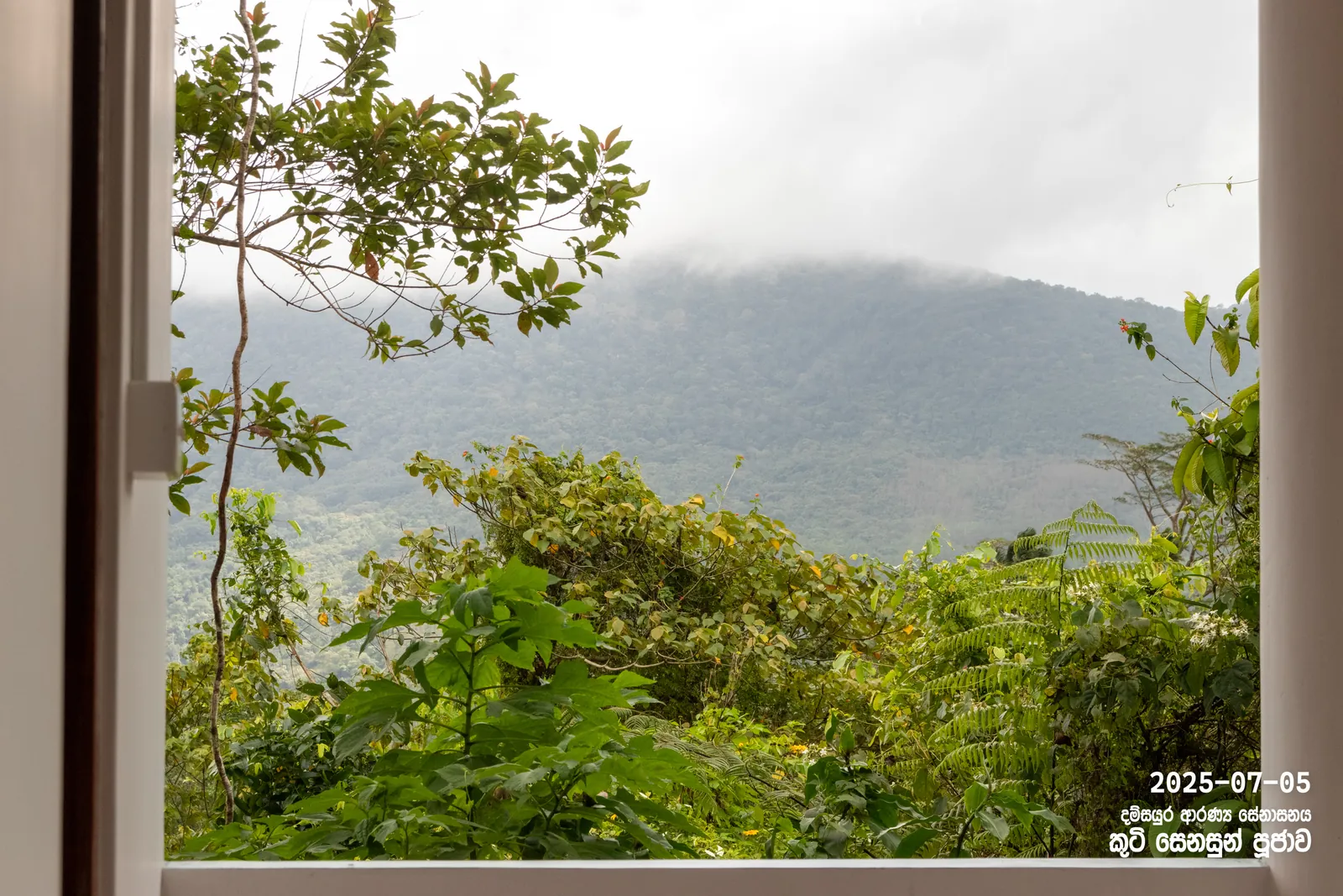 ආරණ්‍යයේ කුටි සෙනසුන් පූජාව — ඡායාරූපය 24
