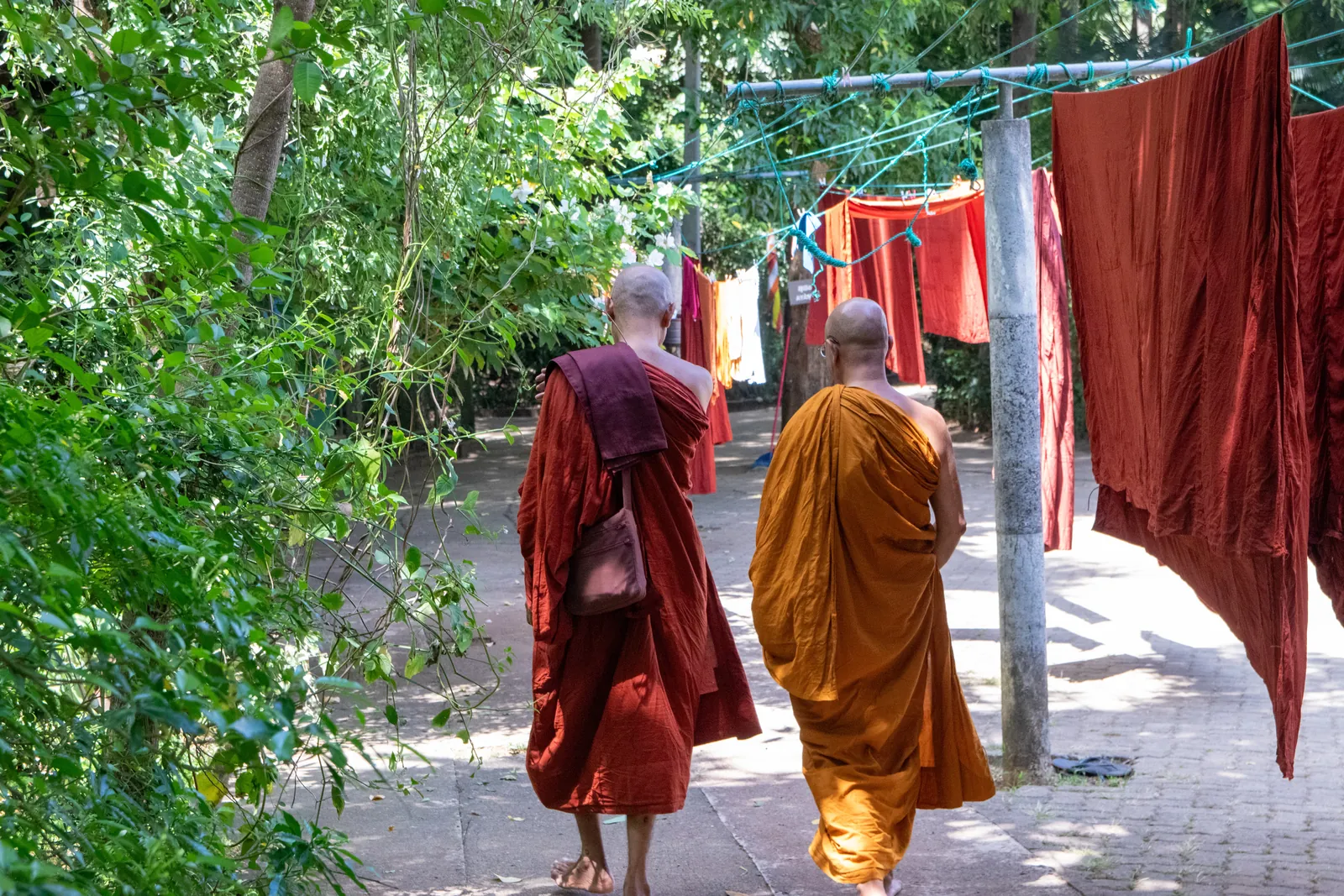 මැල්සිරිපුර, නා උයන ආරණ්‍ය සේනාසනයේදී — ඡායාරූපය 12