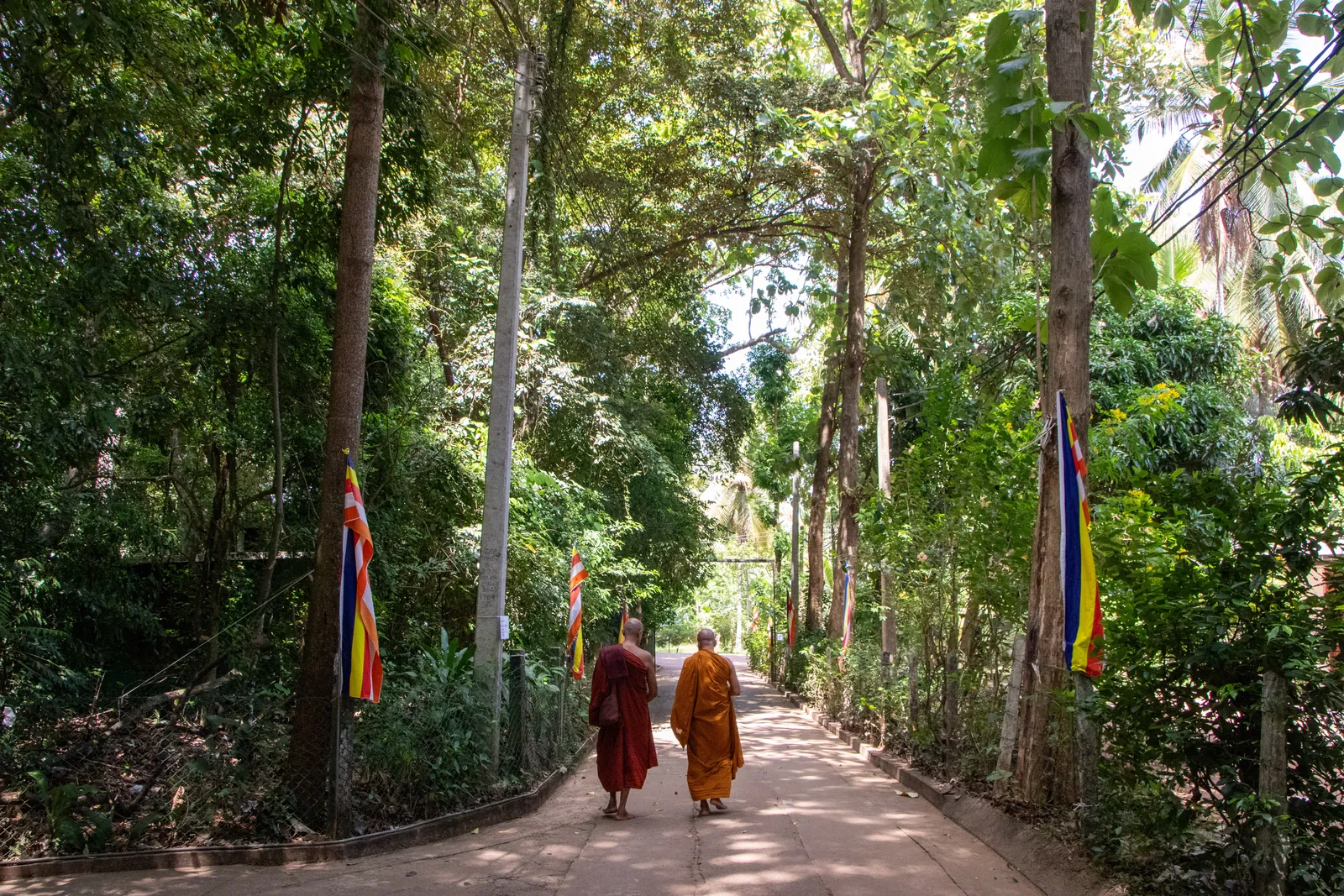 මැල්සිරිපුර, නා උයන ආරණ්‍ය සේනාසනයේදී — ඡායාරූපය 13