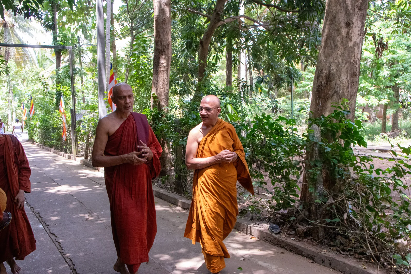 මැල්සිරිපුර, නා උයන ආරණ්‍ය සේනාසනයේදී — ඡායාරූපය 17
