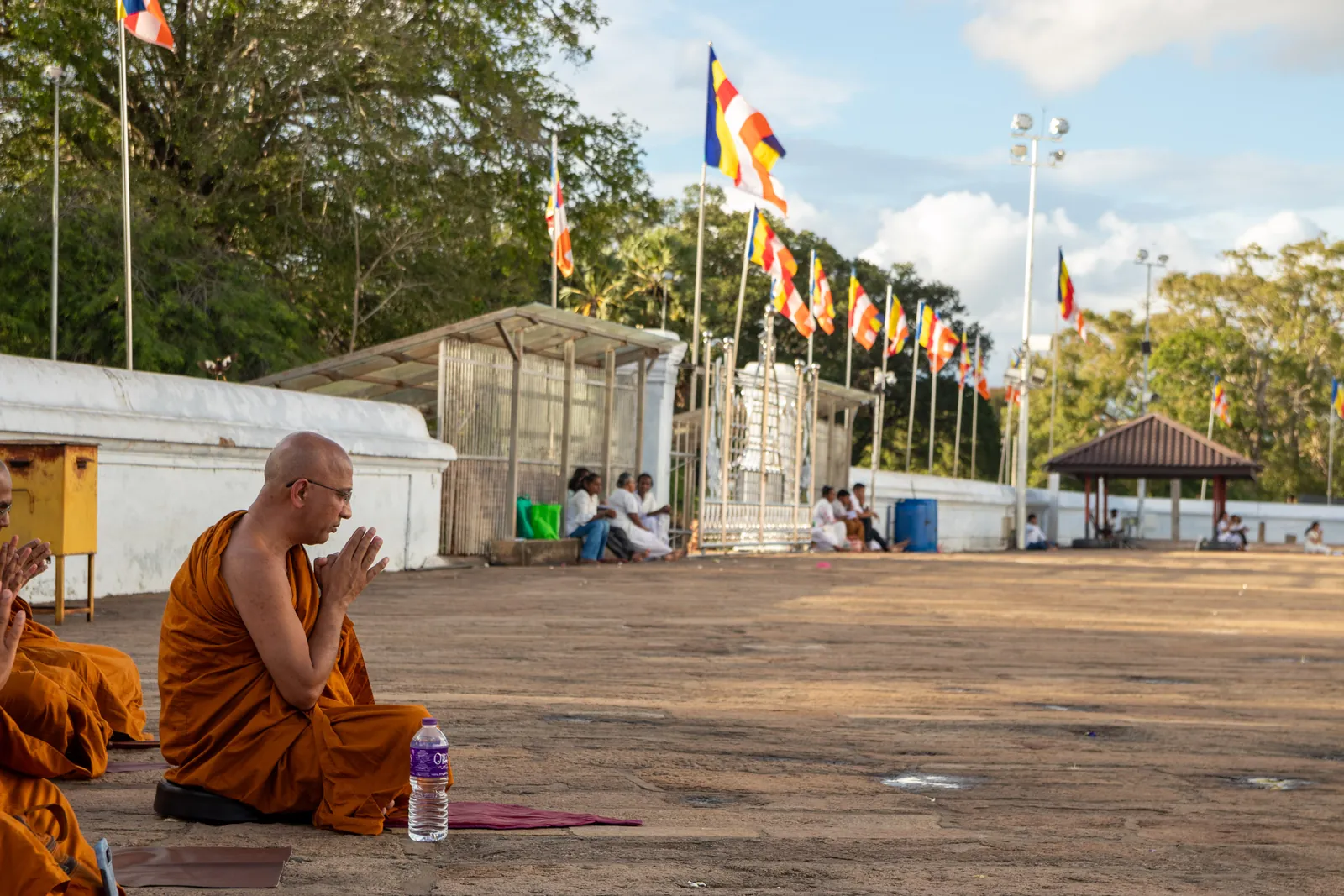 අනුරාධපුර වැඩම කිරීම — ඡායාරූපය 10