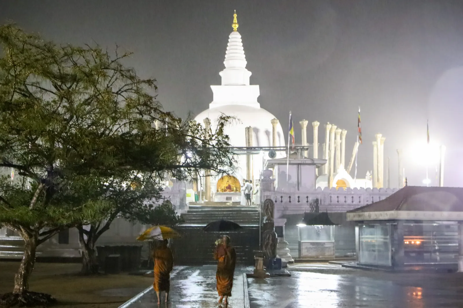 අනුරාධපුර වැඩම කිරීම — ඡායාරූපය 16