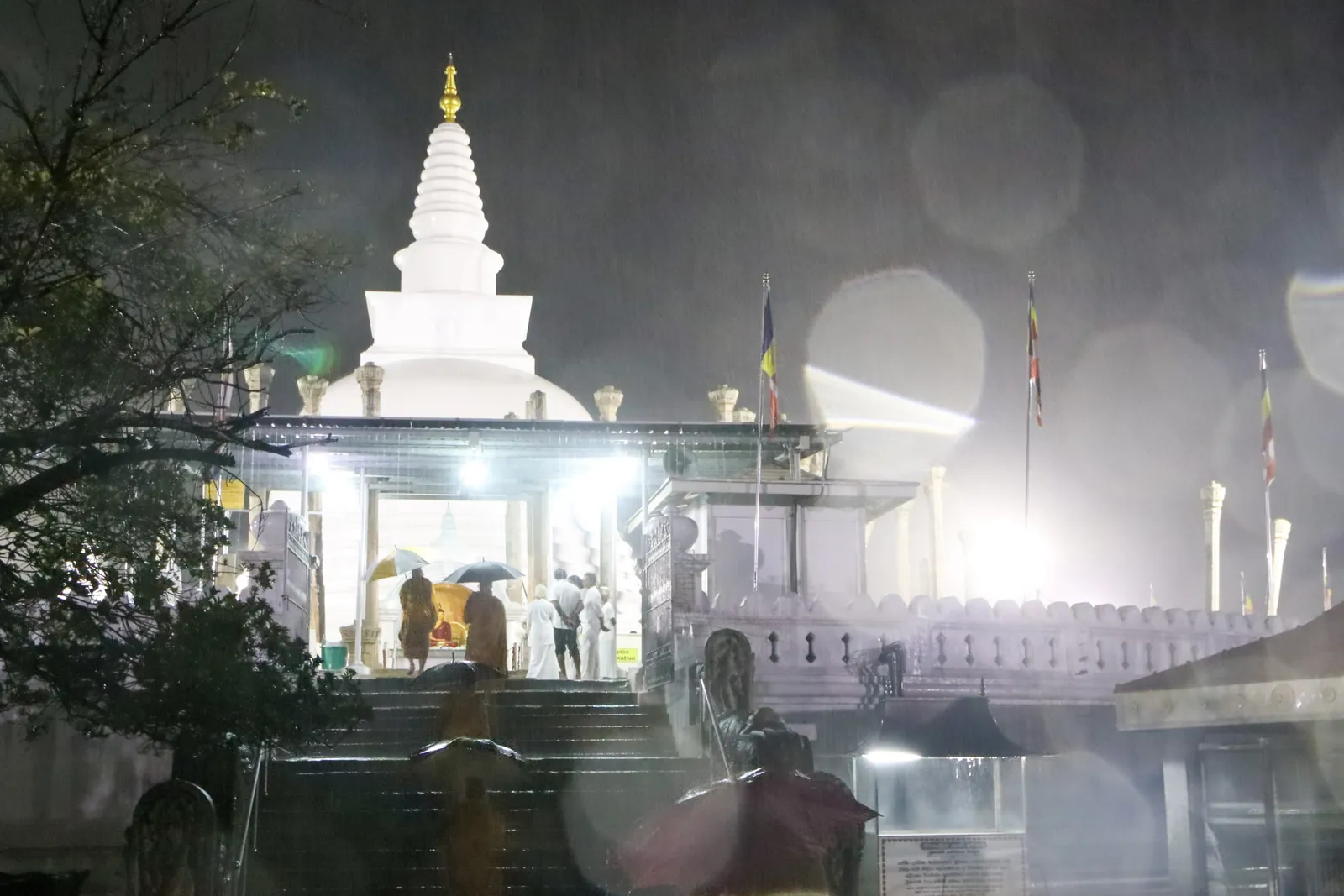 අනුරාධපුර වැඩම කිරීම — ඡායාරූපය 17