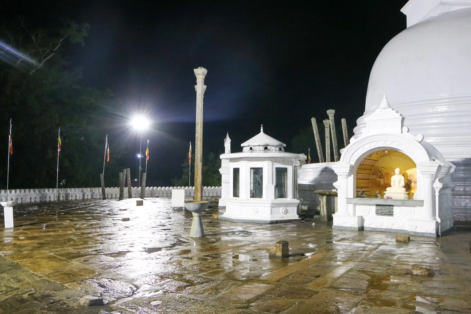 අනුරාධපුර වැඩම කිරීම — ඡායාරූපය 20
