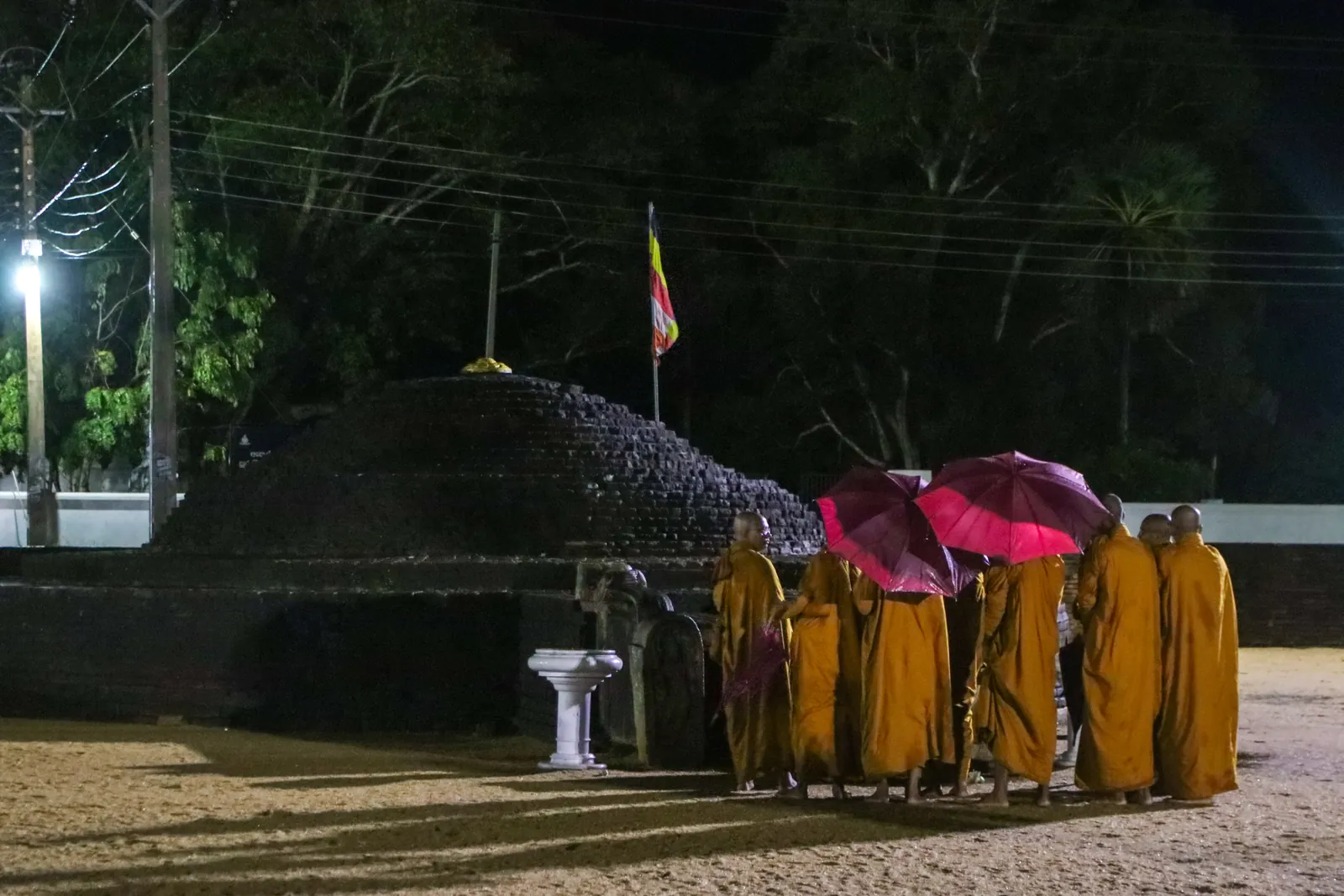 අනුරාධපුර වැඩම කිරීම — ඡායාරූපය 21