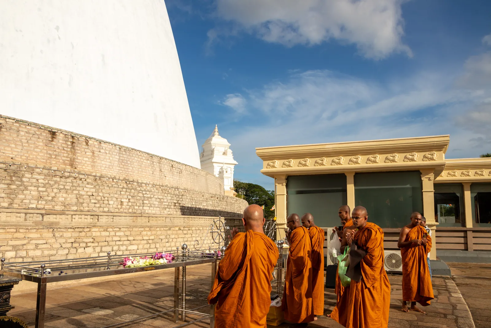 අනුරාධපුර වැඩම කිරීම — ඡායාරූපය 8