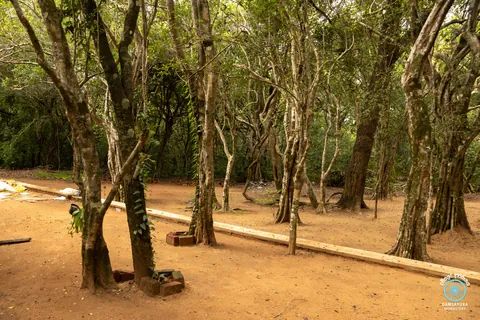 වවුනියාවේ සපුමල්ගස්කඩ පබ්බතාරාම රජ මහා විහාරයේදී.