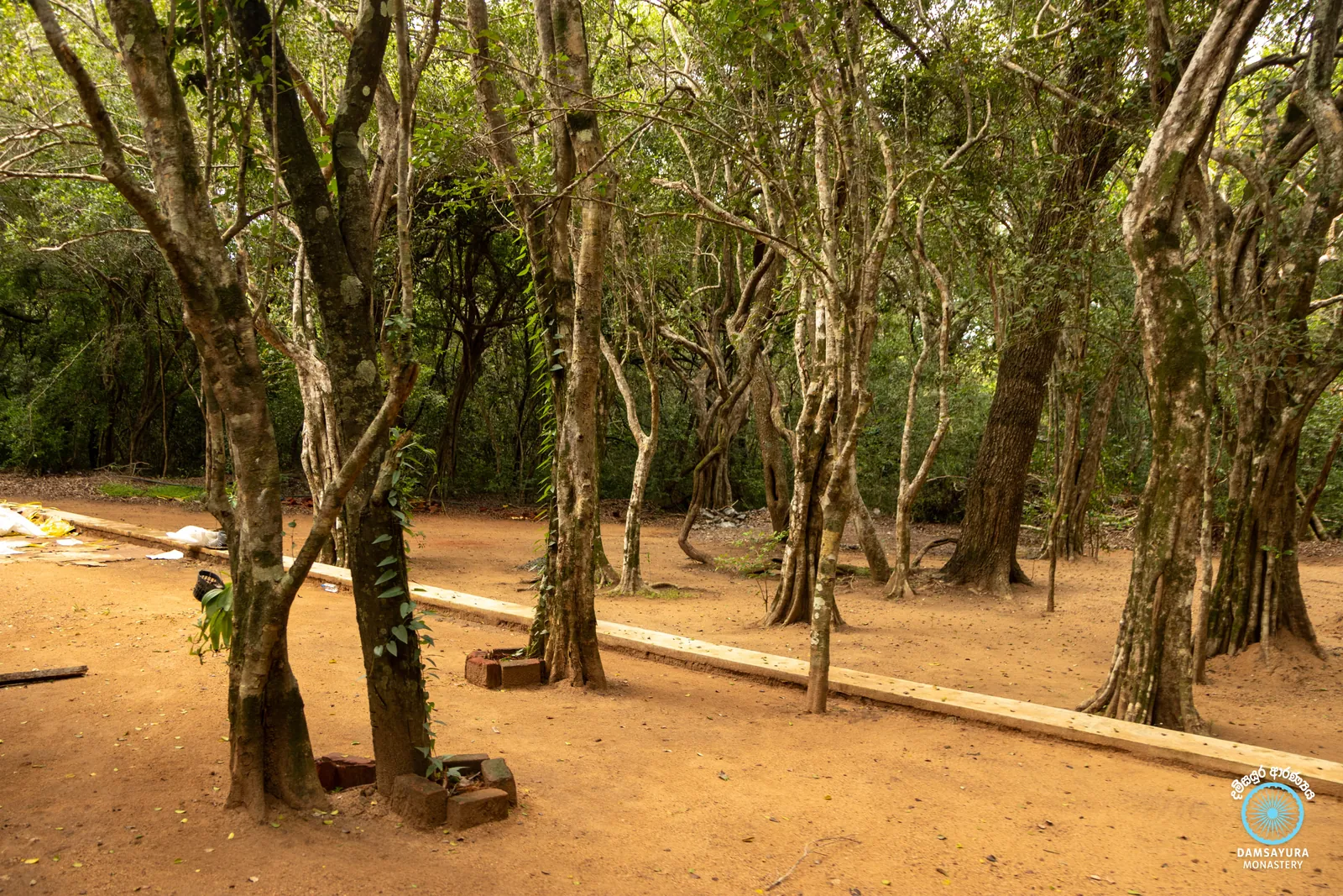 වවුනියාවේ සපුමල්ගස්කඩ පබ්බතාරාම රජ මහා විහාරයේදී. — ඡායාරූපය 1