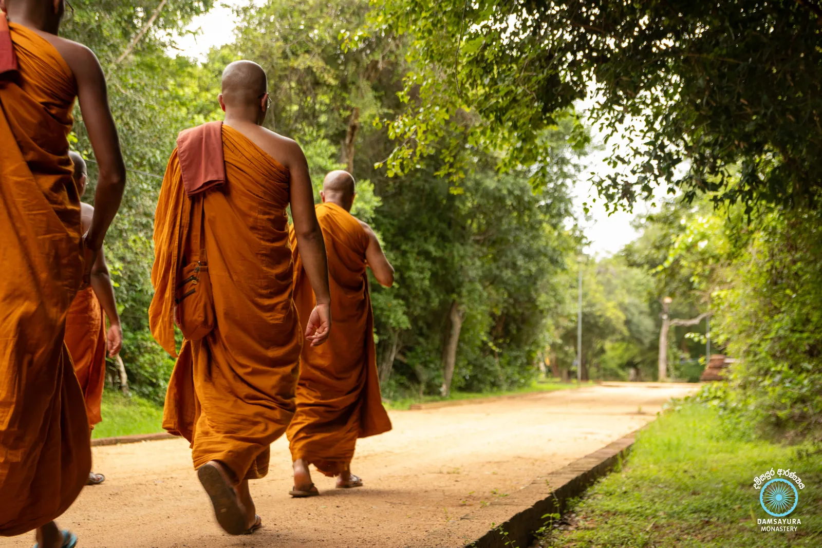 වවුනියාවේ සපුමල්ගස්කඩ පබ්බතාරාම රජ මහා විහාරයේදී. — ඡායාරූපය 7