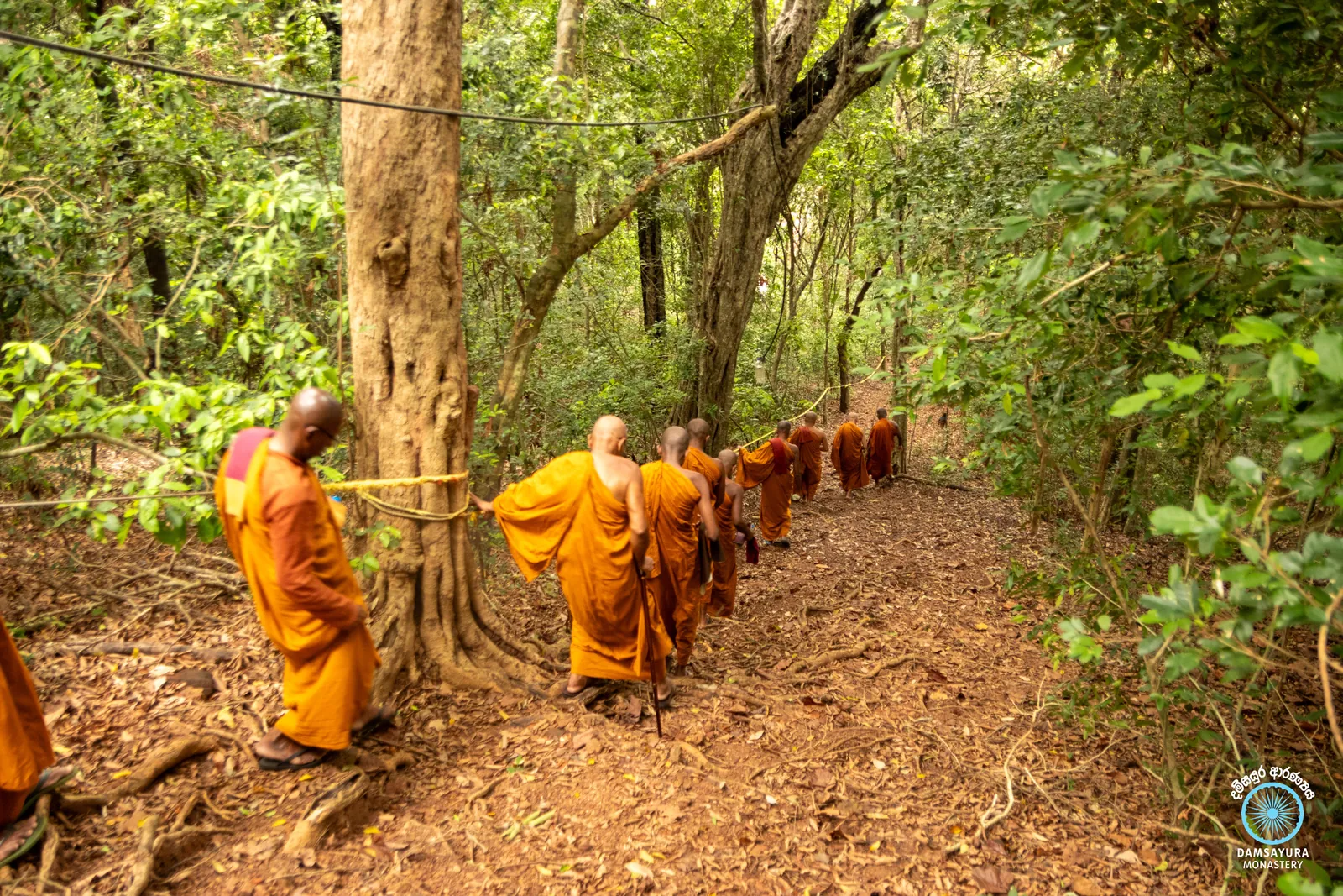 ඓතිහාසික කුරුන්දි රජමහා විහාරයේ ඉපැරණි සෑය වන්දනා කිරීම. — ඡායාරූපය 20