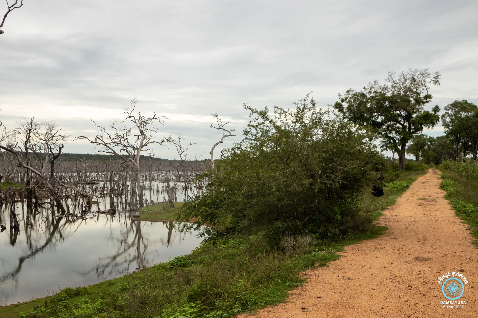 ඓතිහාසික කුරුන්දි රජමහා විහාරයේ ඉපැරණි සෑය වන්දනා කිරීම. — ඡායාරූපය 21