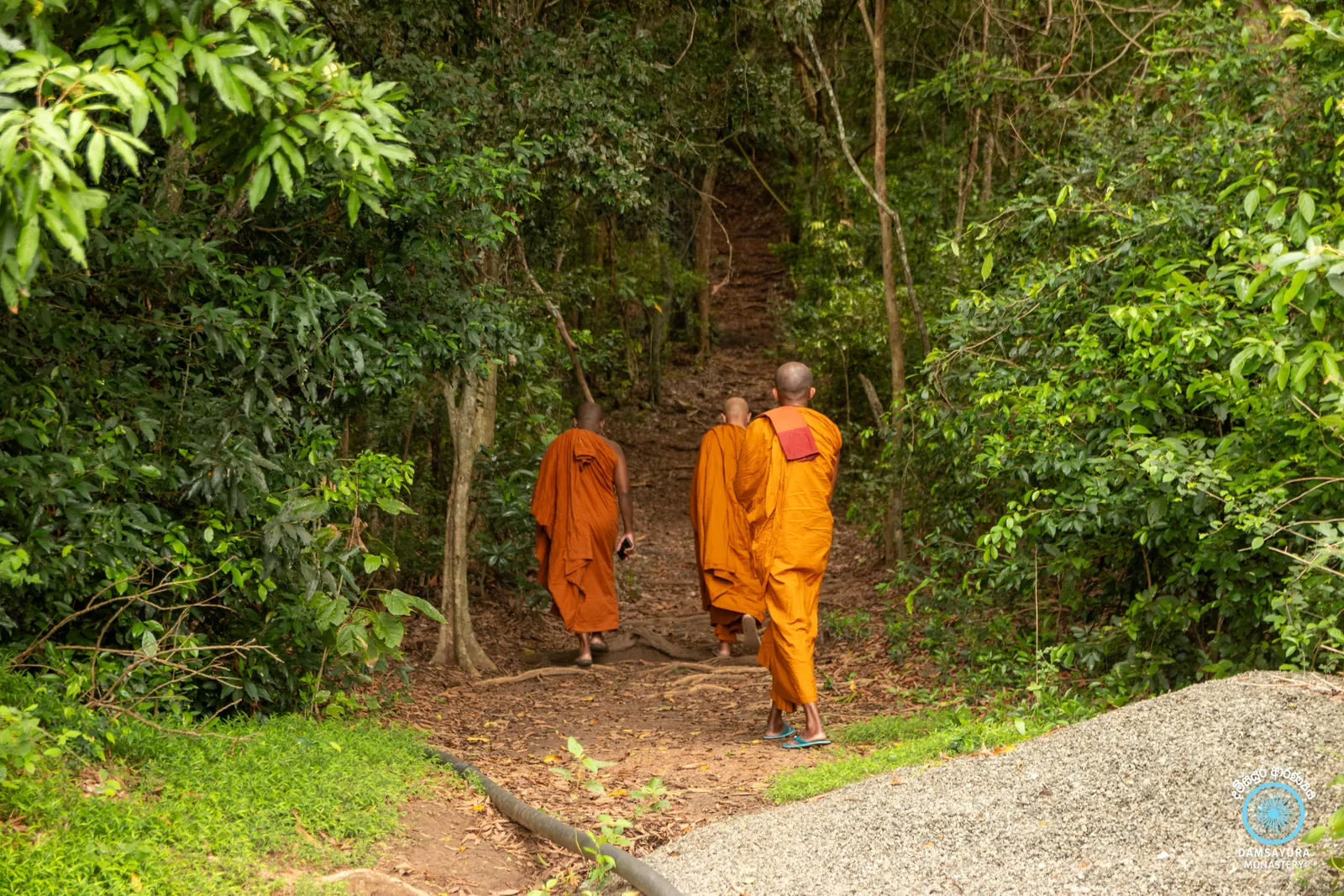 ඓතිහාසික කුරුන්දි රජමහා විහාරයේ ඉපැරණි සෑය වන්දනා කිරීම. — ඡායාරූපය 3