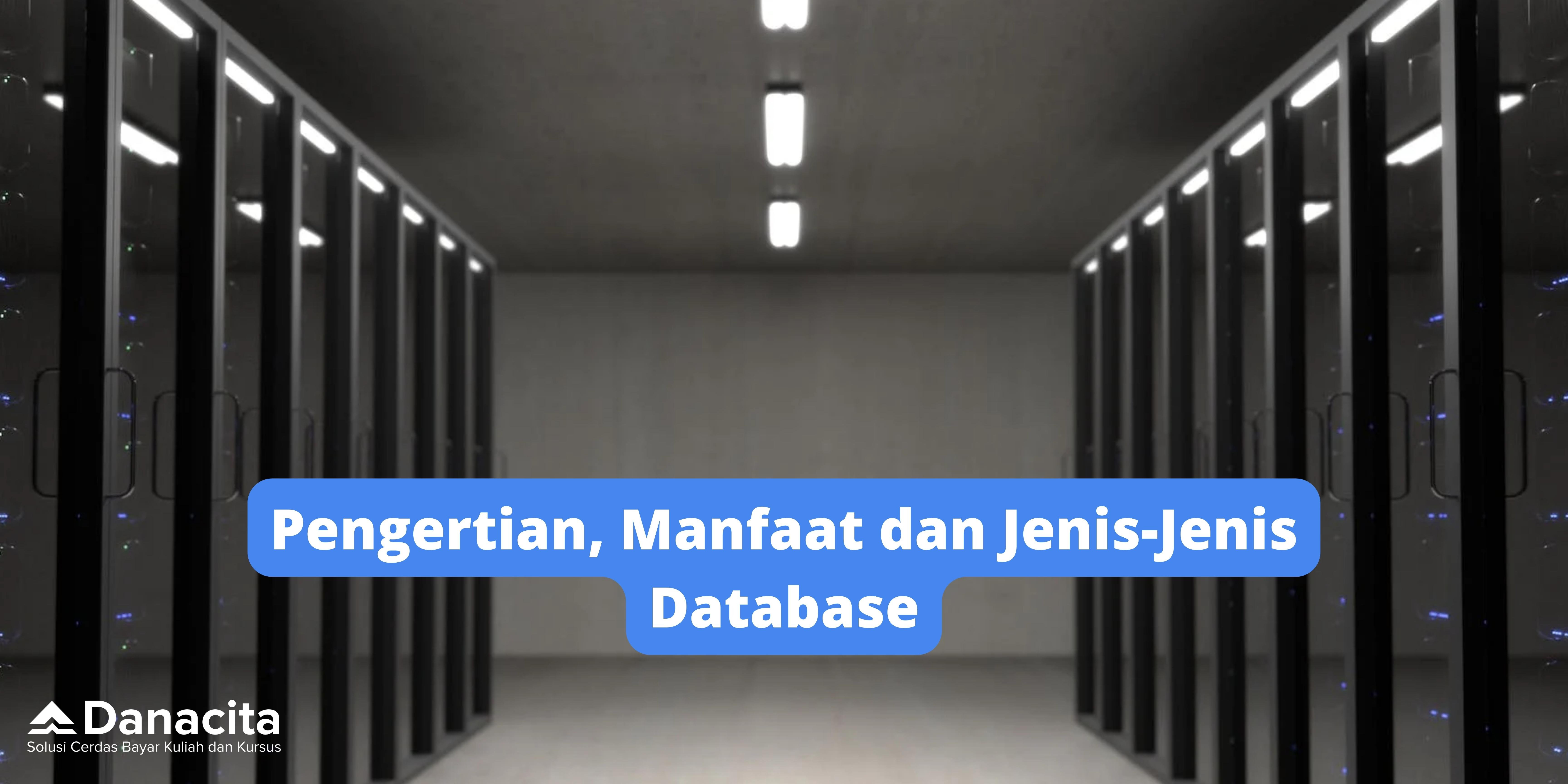 Blog-Danacita-Jenis-Jenis-Database-Dan-Manfaatnya