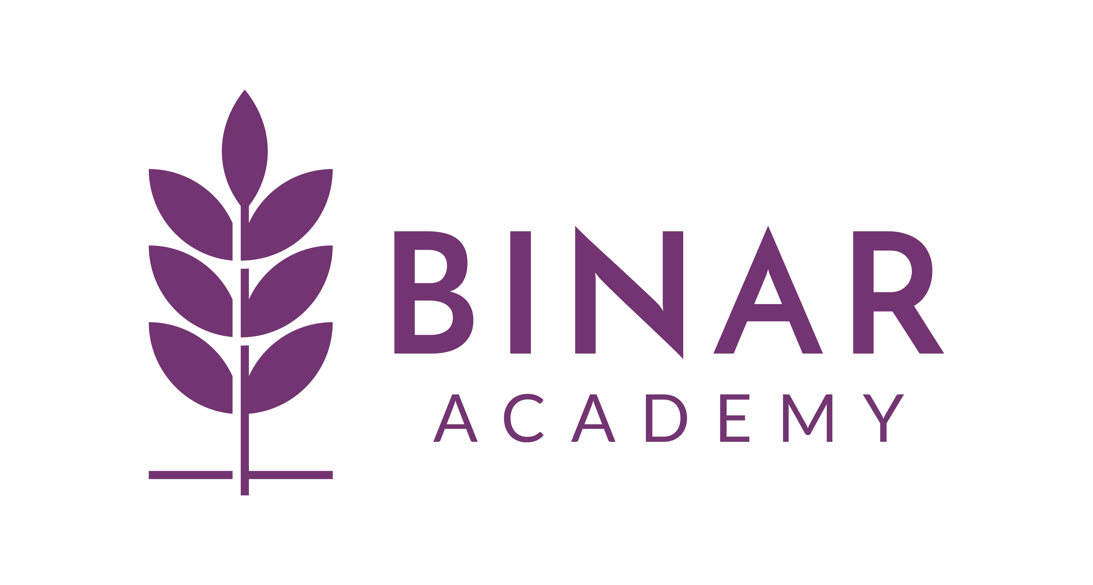 binar academy logo.png